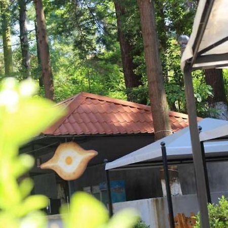 Hulus Hotel Makhinjauri Ngoại thất bức ảnh